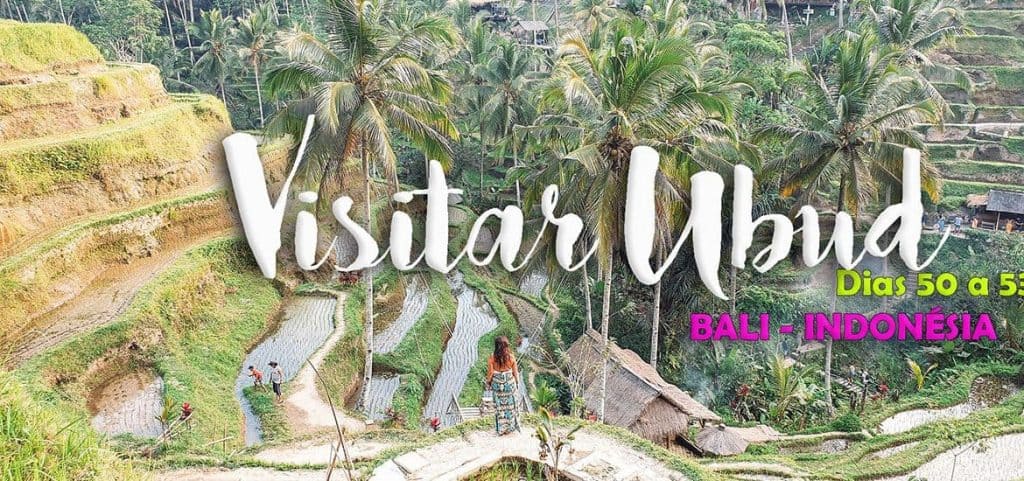Ubud: o que visitar, ver e fazer em Bali na Indonésia