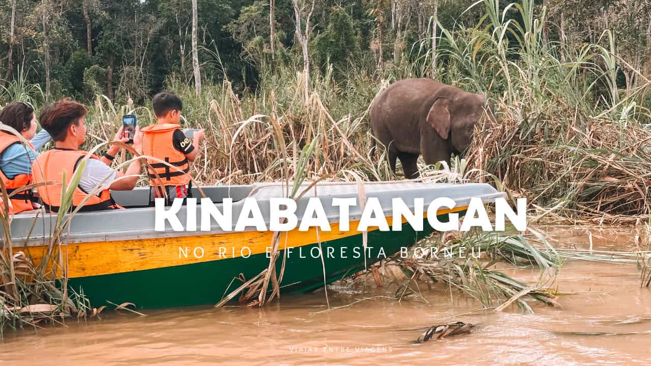 Rio Kinabatangan: como ver animais selvagens no Bornéu