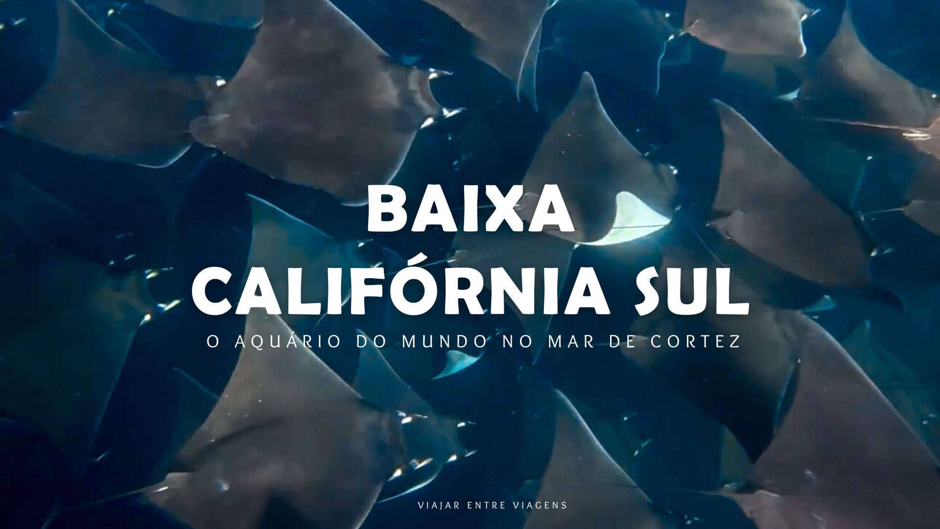 Baixa Califórnia Sul: o que ver e fazer entre as praias e o mar