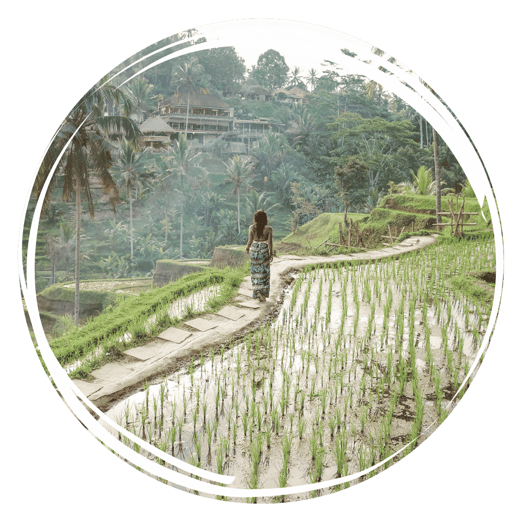 Ubud: o que visitar, ver e fazer em Bali na Indonésia